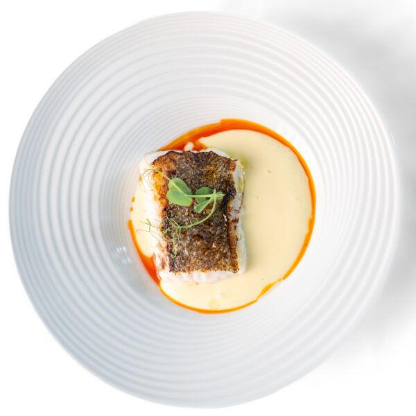 Nuestros platos
